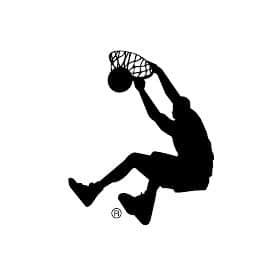 Image placeholder title